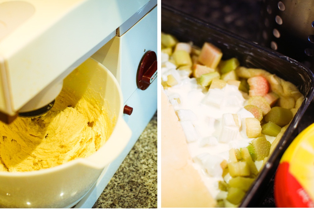 Rhabarberkuchen (11)