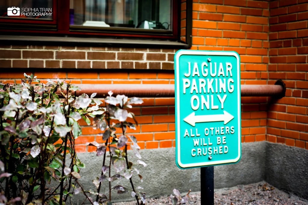 Von homosexuellen Russen (Part III)