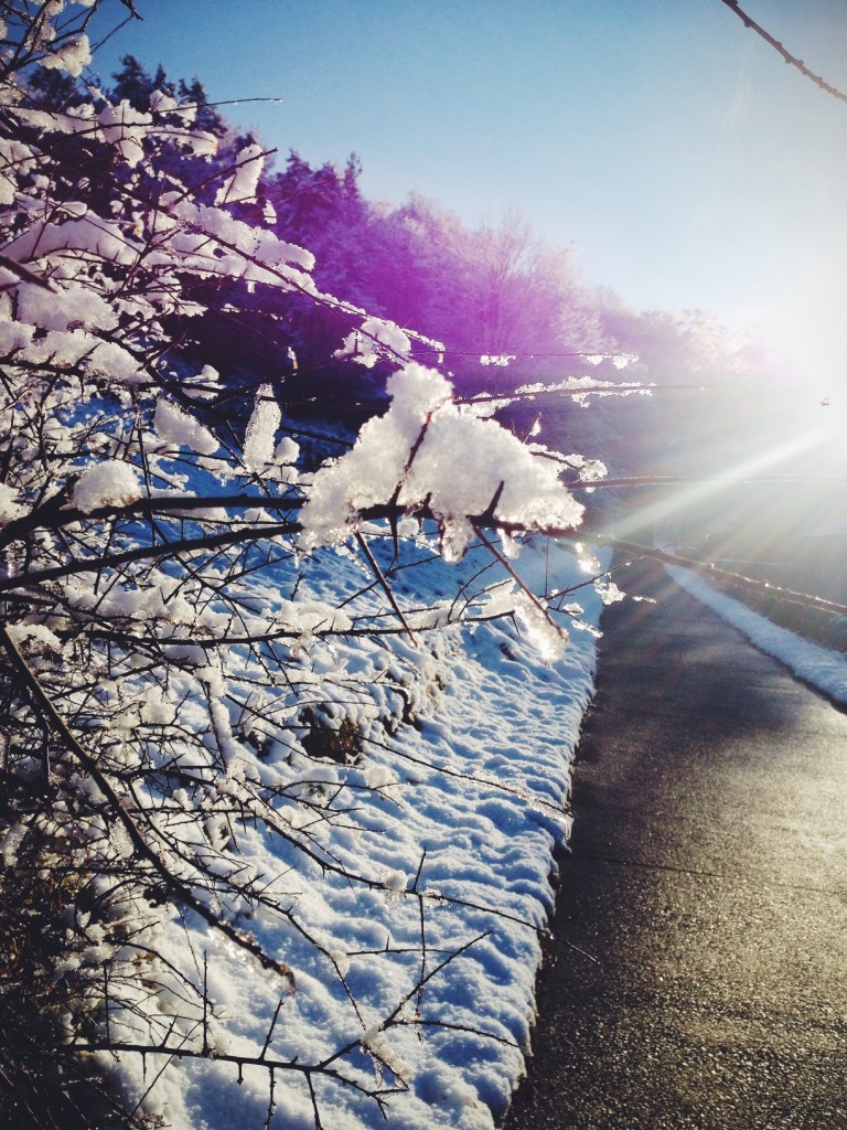 Processed with VSCOcam with f2 preset