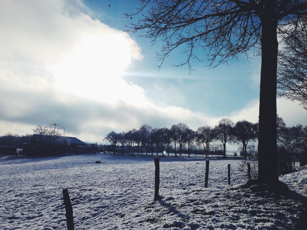 Processed with VSCOcam with f2 preset