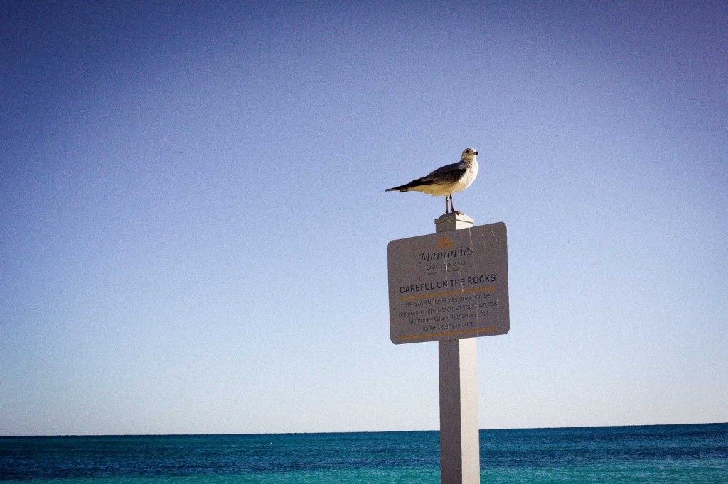 Bahamas_7