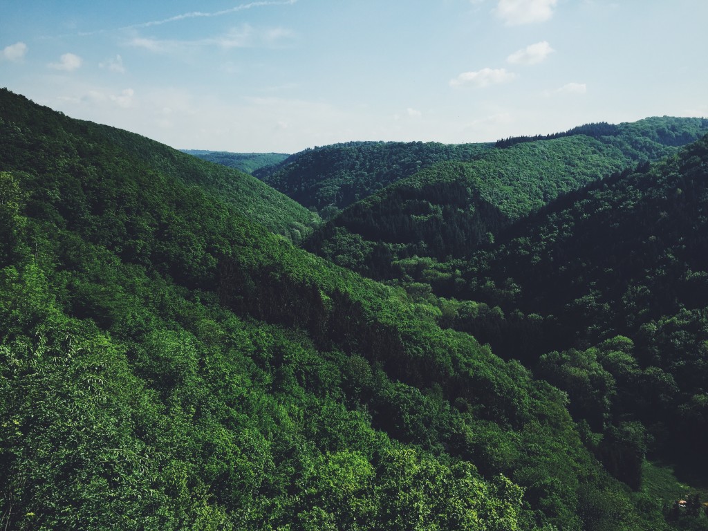 Processed with VSCOcam with f2 preset