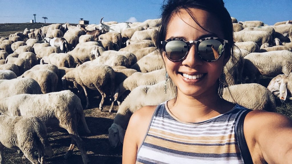 Die Perle Norditaliens: Gardasee