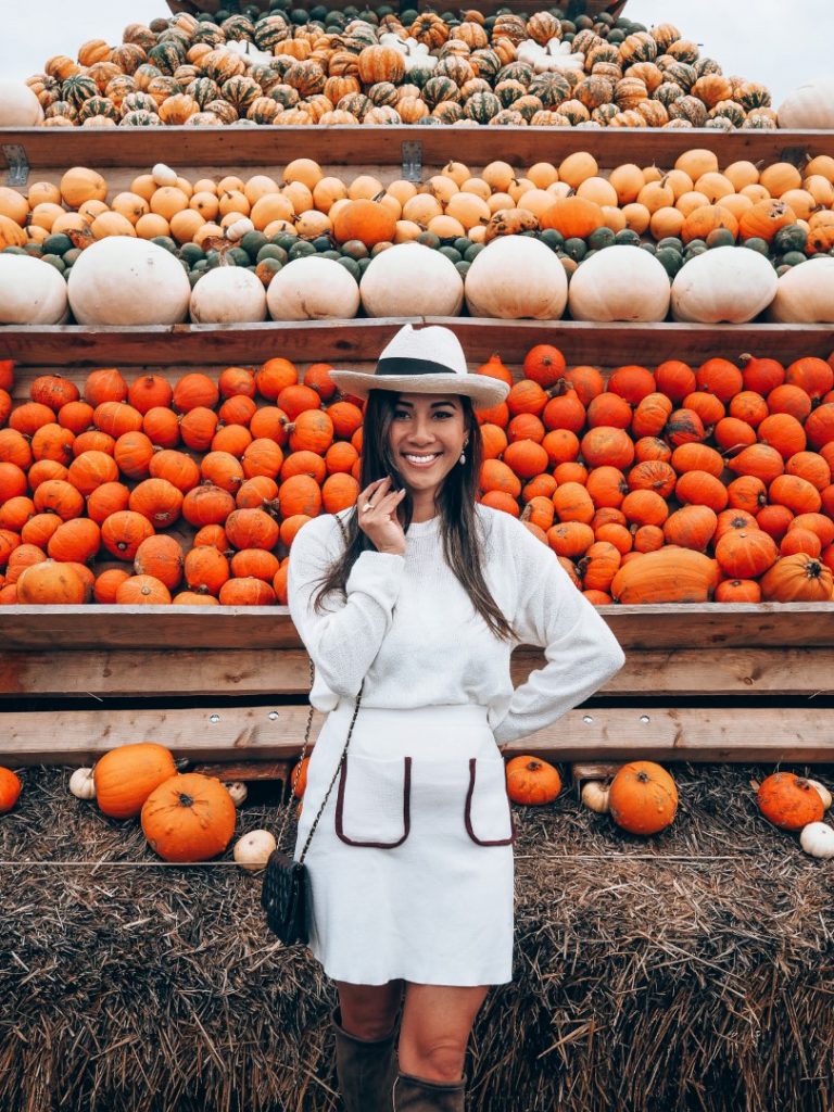 Halloween – hallo Kürbisse!