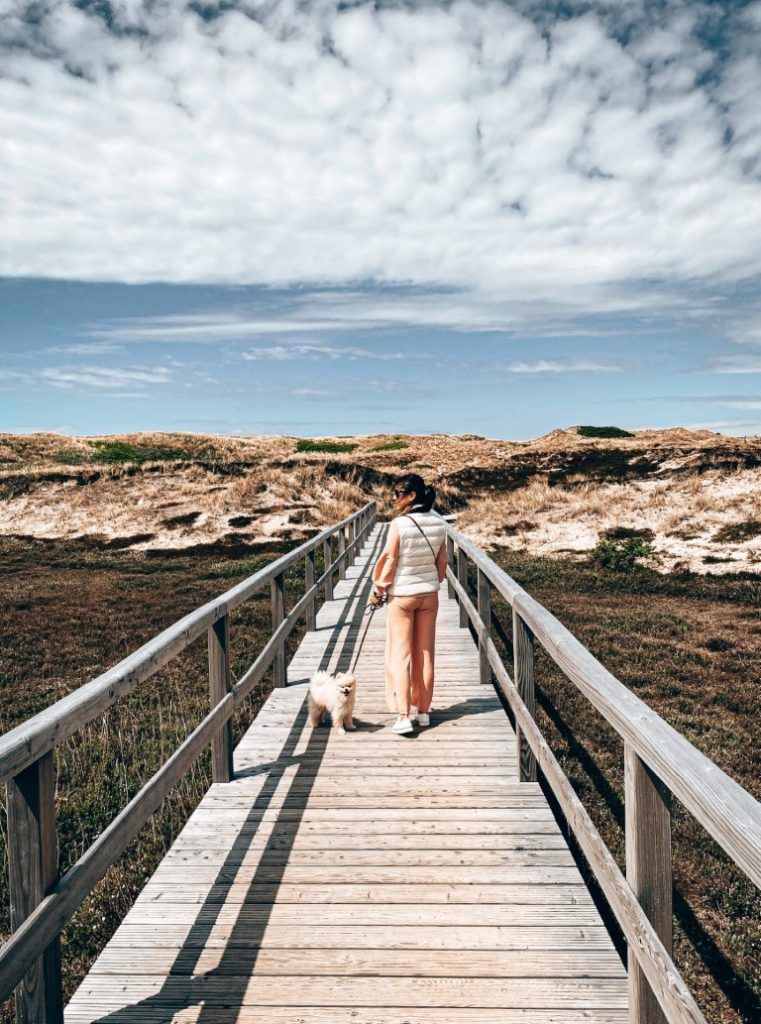 Sylt | Erholung an der Nordseeküste